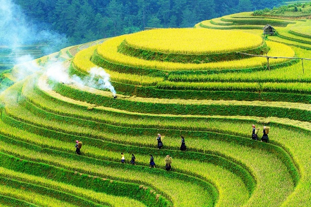 Mu-Cang-Chai-–-Terrazas-de-arroz-espectaculares