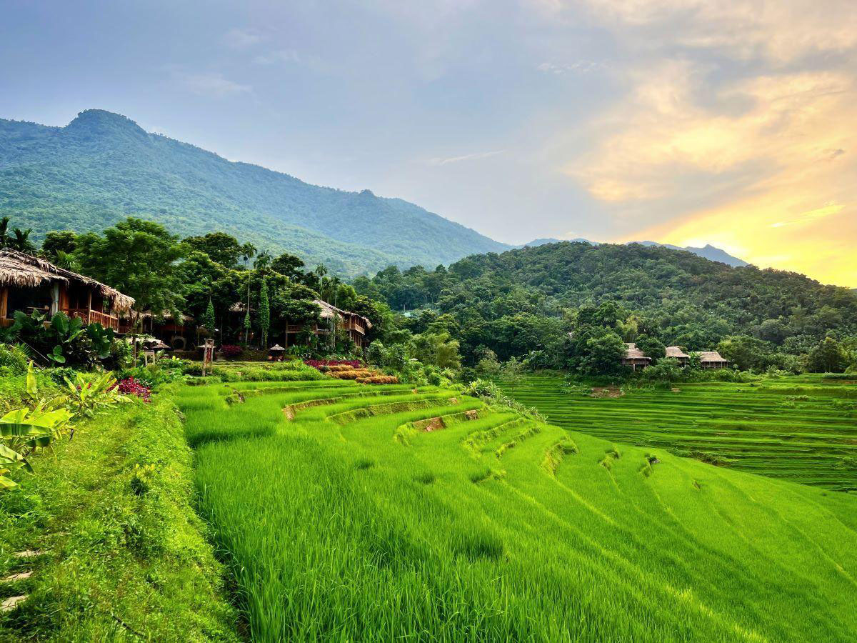 Pu-Luong-terrazas-de-arroz