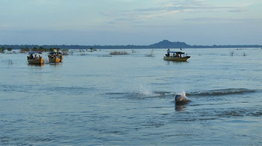Encanto Fluvial y Hogar de los Delfines del Mekong