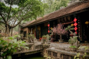 Viet Phu Thanh Chuong