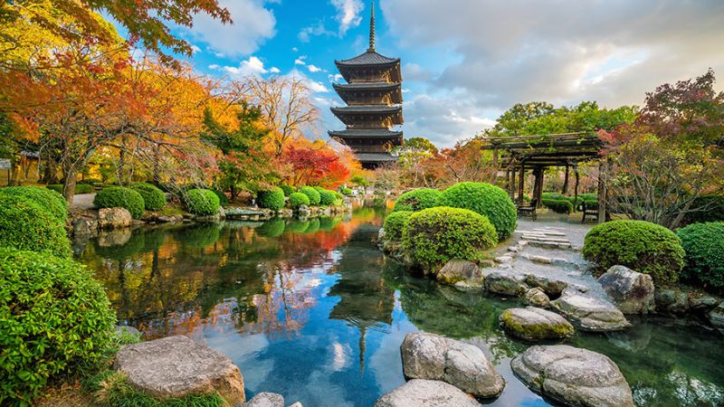 JAPAN: LA ARMONÍA PERFECTA ENTRE TRADICIÓN MILENARIA Y MODERNIDAD